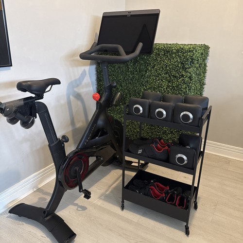 Peloton bike plus weights - |,